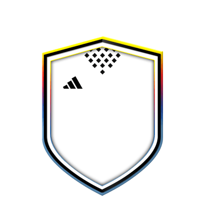 Испытания подбора команды Форма adidas World Cup logo